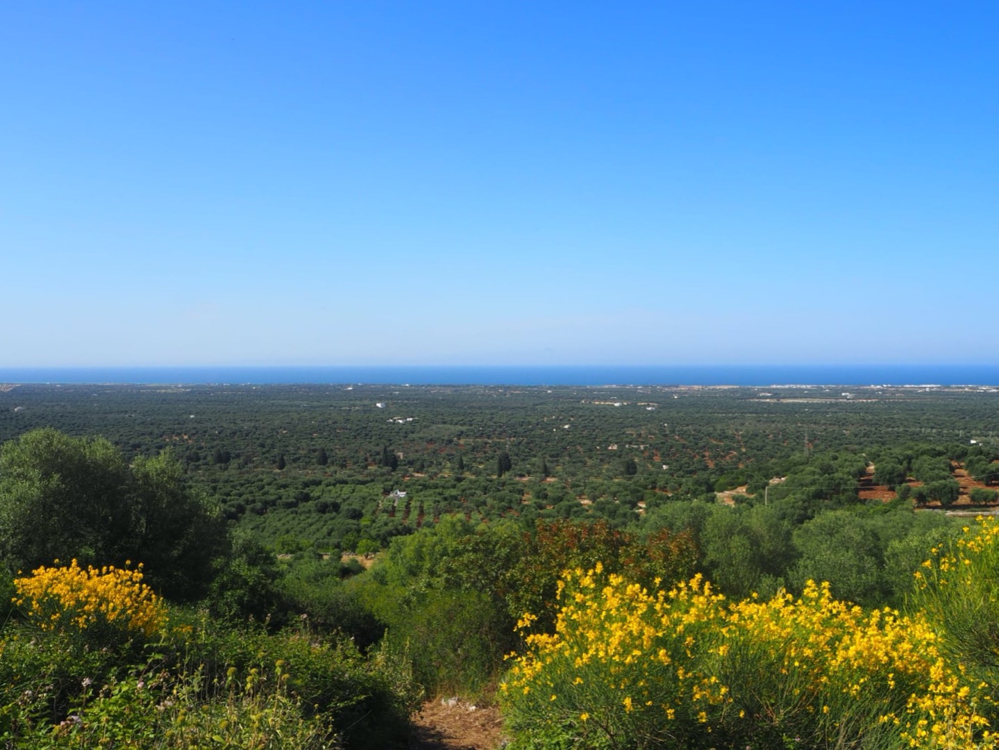 Foto 8 - Panorama del Parco